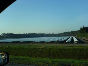dsc00020_2